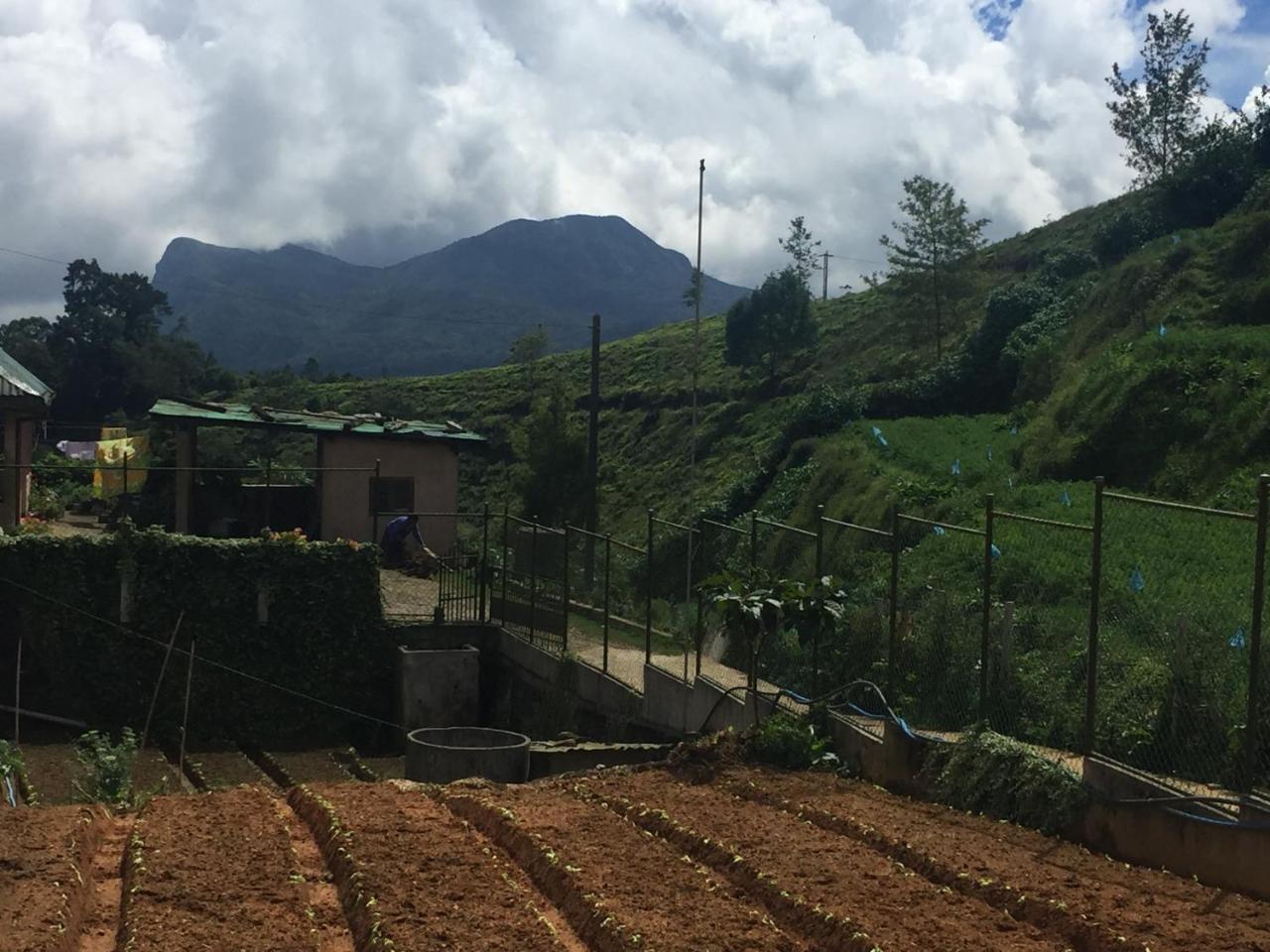 Chandrasobana Nuwara Eliya Buitenkant foto