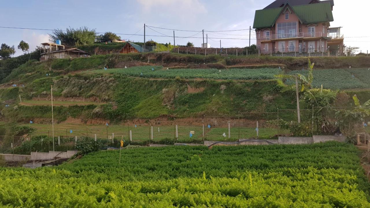 Chandrasobana Nuwara Eliya Buitenkant foto